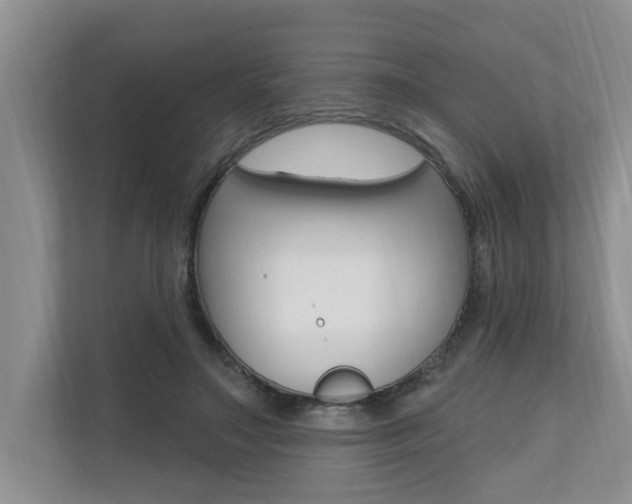 X0000110700499200906121039