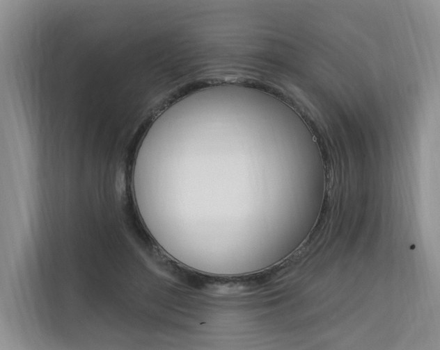 X0000110700500200906121038