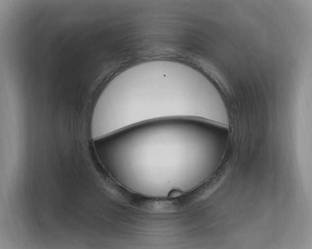 X0000110700501200906121038
