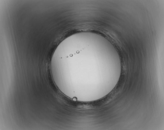 X0000110700503200906121038