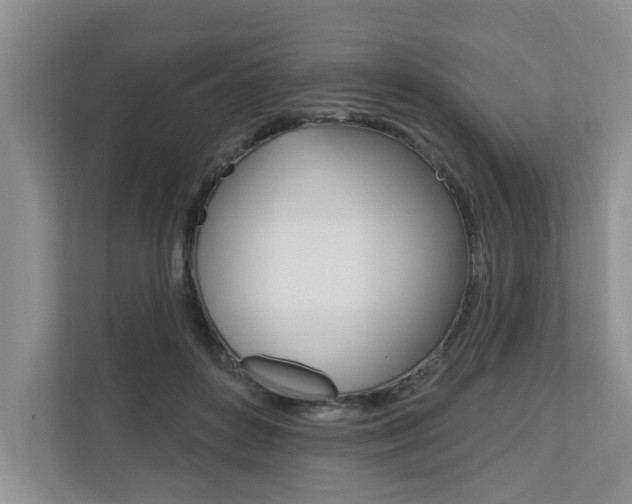 X0000110700504200906121038