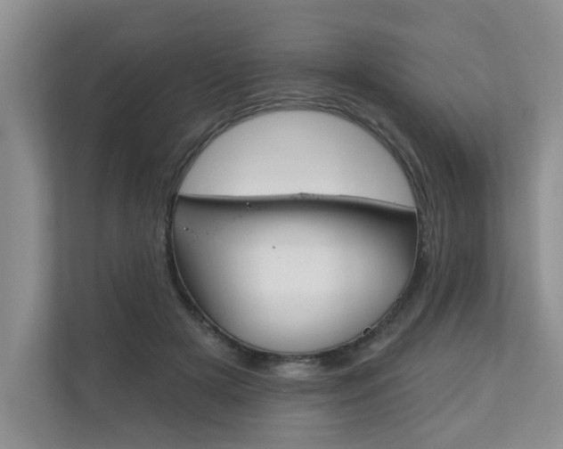 X0000110700505200906121038