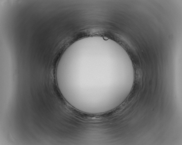 X0000110700506200906121038