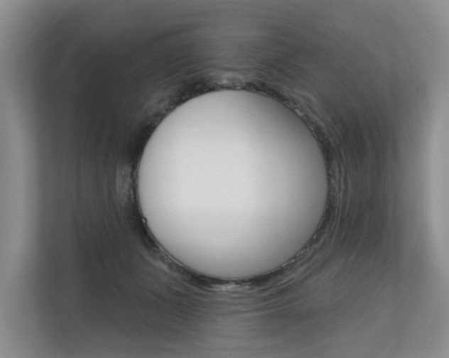 X0000110700511200906121038