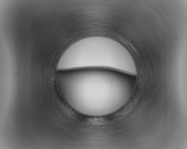 X0000110700517200906121038