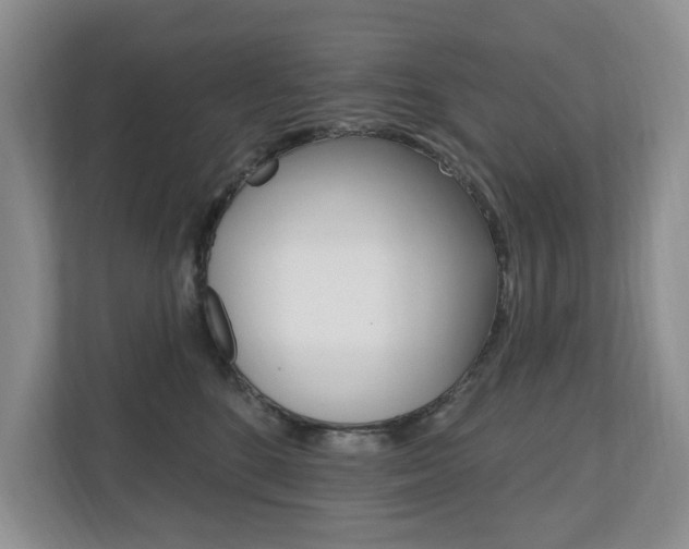 X0000110700520200906121038