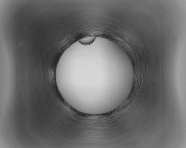X0000110700523200906121038