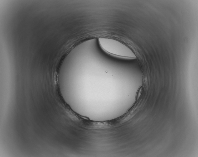 X0000110700525200906121038