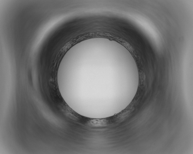 X0000110700526200906121038