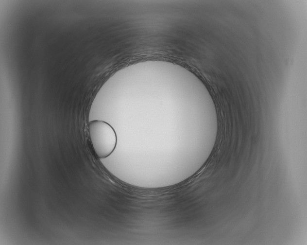 X0000110700528200906121038