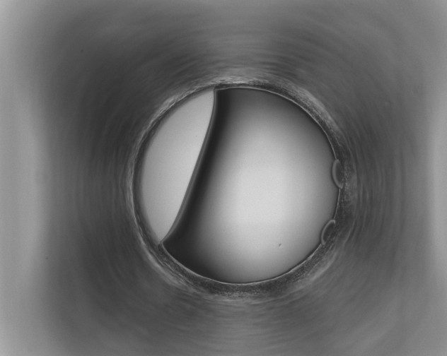 X0000110700530200906121038
