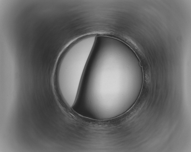X0000110700532200906121038