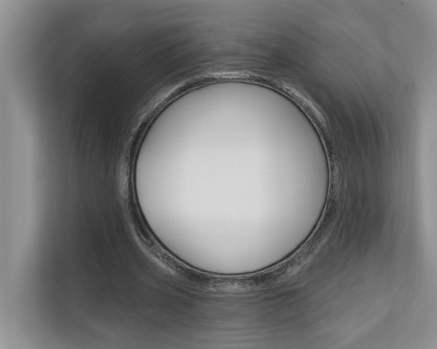 X0000110700533200906121038