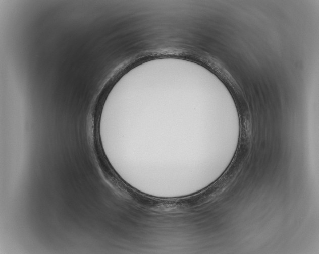 X0000110700534200906121038