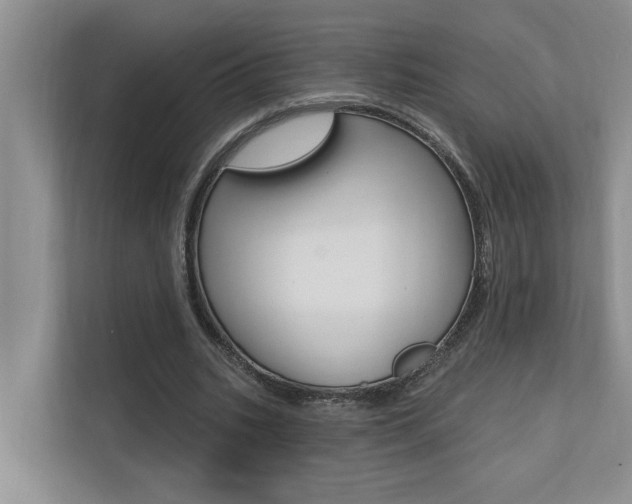 X0000110700535200906121038