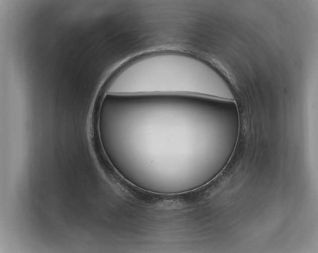 X0000110700536200906121038