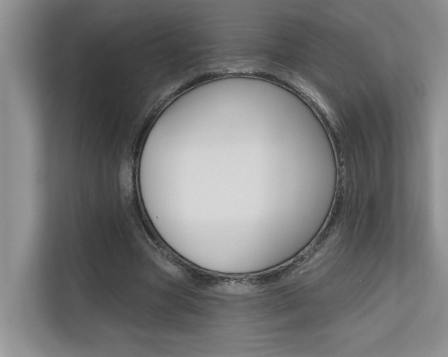 X0000110700537200906121038