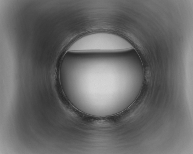 X0000110700544200906121038