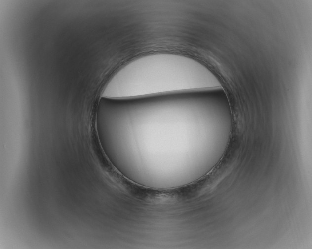 X0000110700546200906121038