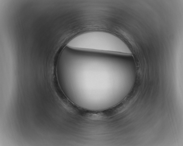 X0000110700548200906121038