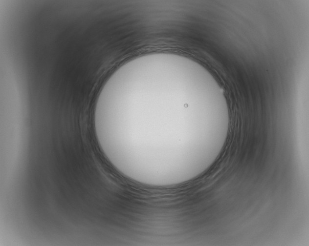 X0000110700552200906121038