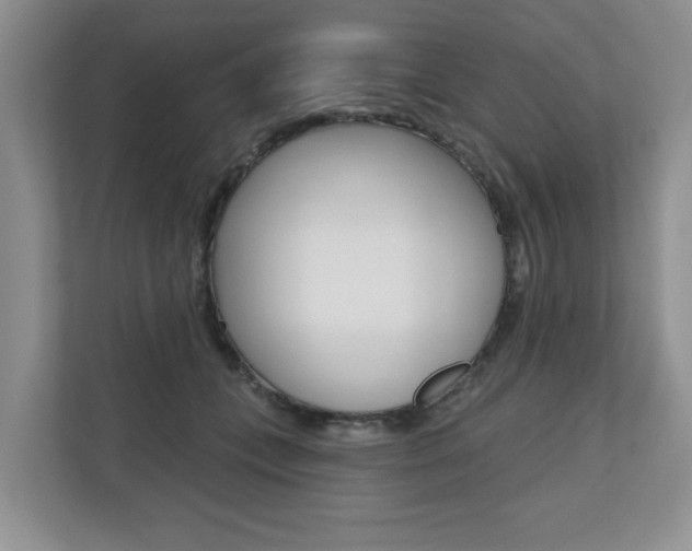 X0000110700559200906121038
