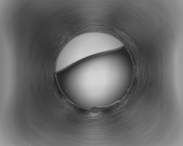 X0000110700560200906121038