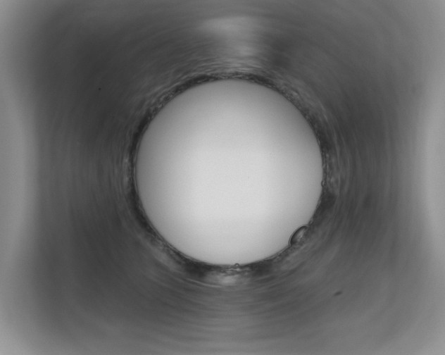X0000110700563200906121038