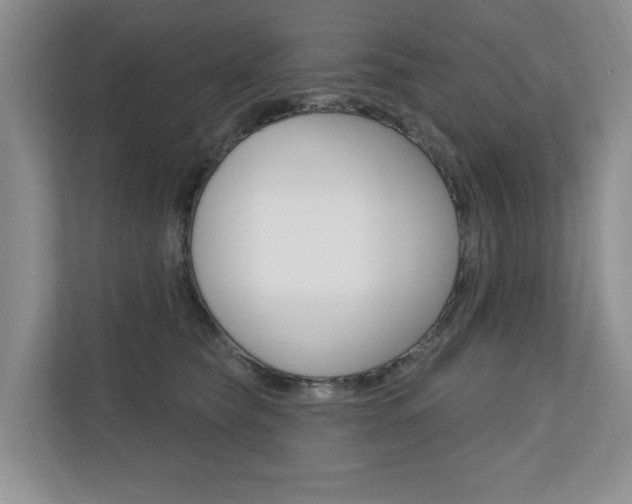 X0000110700565200906121038