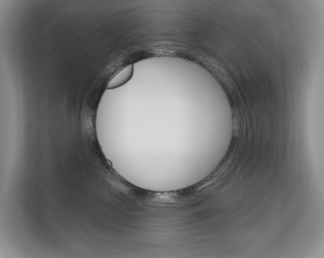 X0000110700573200906121038