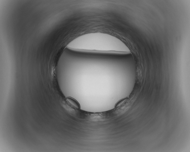 X0000110700574200906121038