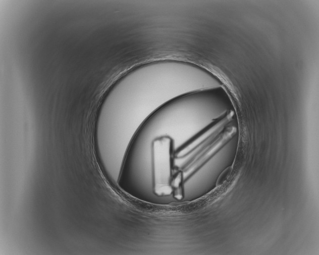 X0000110700577200906121037