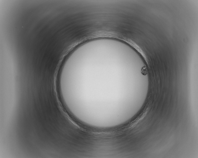 X0000110700581200906121037