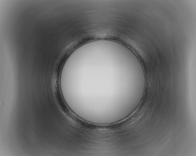 X0000110700590200906121037