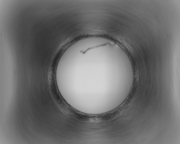 X0000110700591200906121037