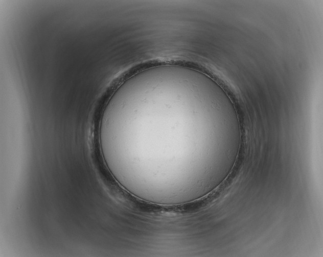 X0000110700592200906121037