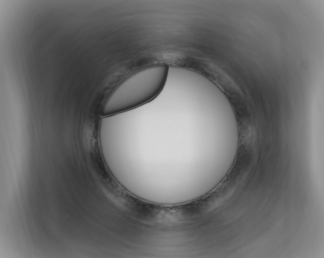 X0000110700599200906121037