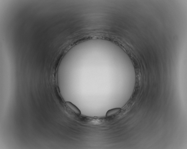 X0000110700611200906121037