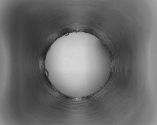 X0000110700623200906121037
