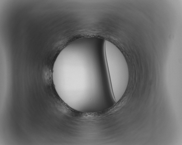 X0000110700624200906121037