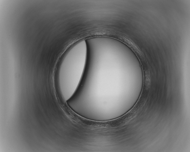 X0000110700626200906121036