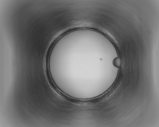 X0000110700629200906121036