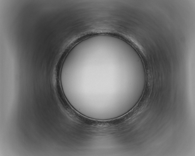 X0000110700631200906121036