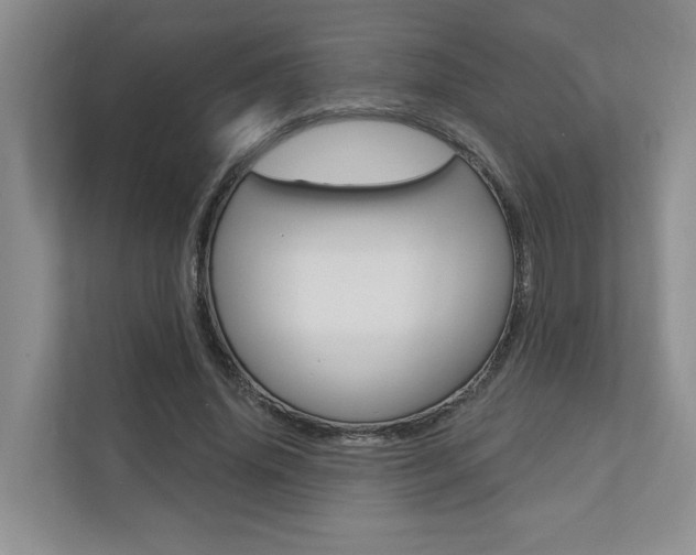 X0000110700636200906121036