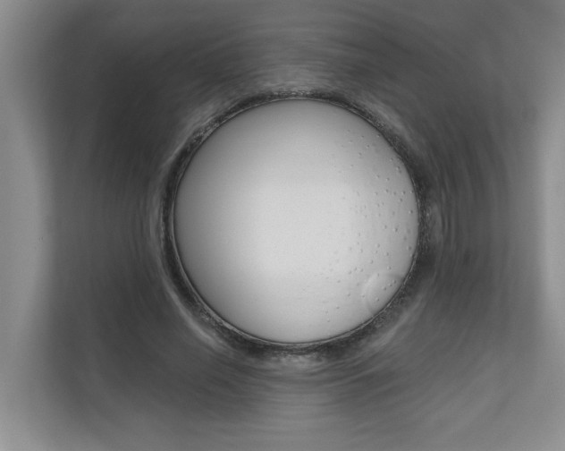 X0000110700638200906121036