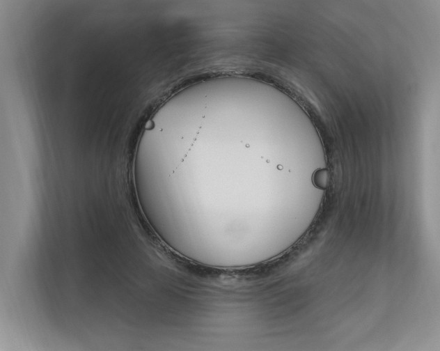 X0000110700641200906121036