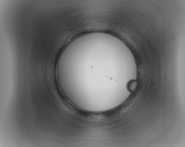 X0000110700642200906121036
