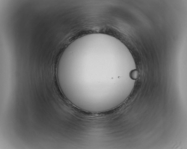 X0000110700656200906121037