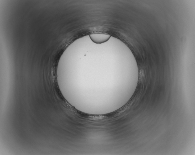 X0000110700671200906121037