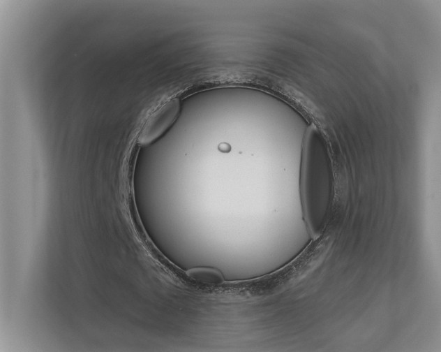 X0000110700673200906121036